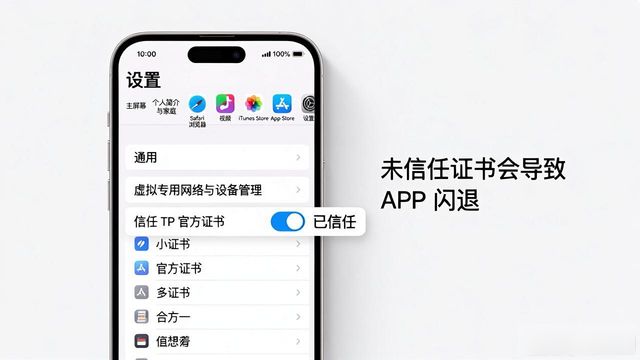 TP官方APP下载安装流程详解及实战经验分享